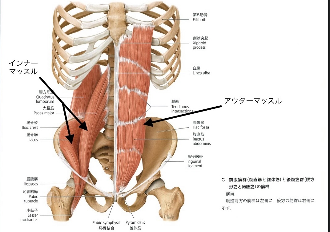平塚で腰痛を予防・改善！インナーマッスル筋トレで根本的な腰痛対策を